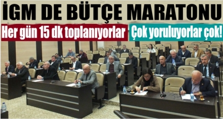 İL GENEL MECLİSİNDE BÜTÇE MARATONU