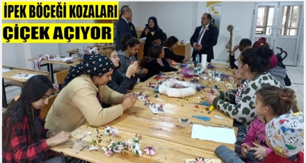 İPEK BÖCEĞİ KOZALARI ÇİÇEK AÇIYOR