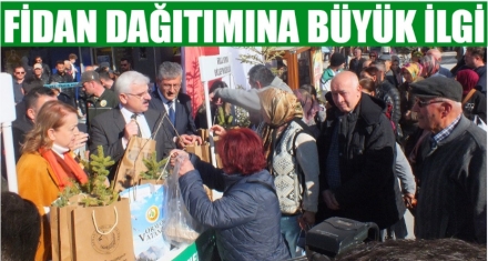 Ücretsiz 20 bin fidan dağıtıldı 