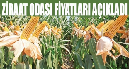 ZİRAAT ODASI FİYATLARI AÇIKLADI 