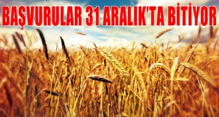 BAŞVURULAR 31 ARALIK'TA BİTİYOR