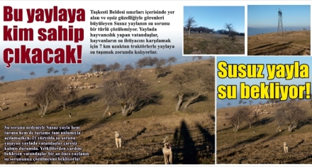 Bu yaylaya kim sahip çıkacak!