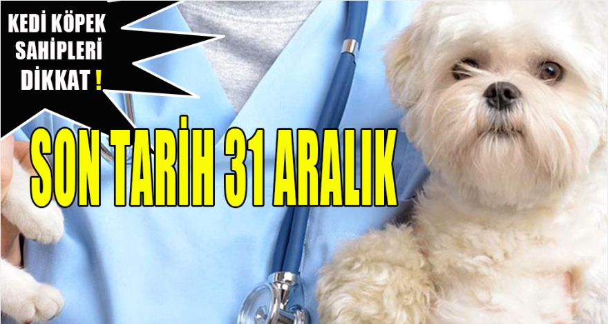KEDİ KÖPEK SAHİPLERİNİ İLGİLENDİRİYOR