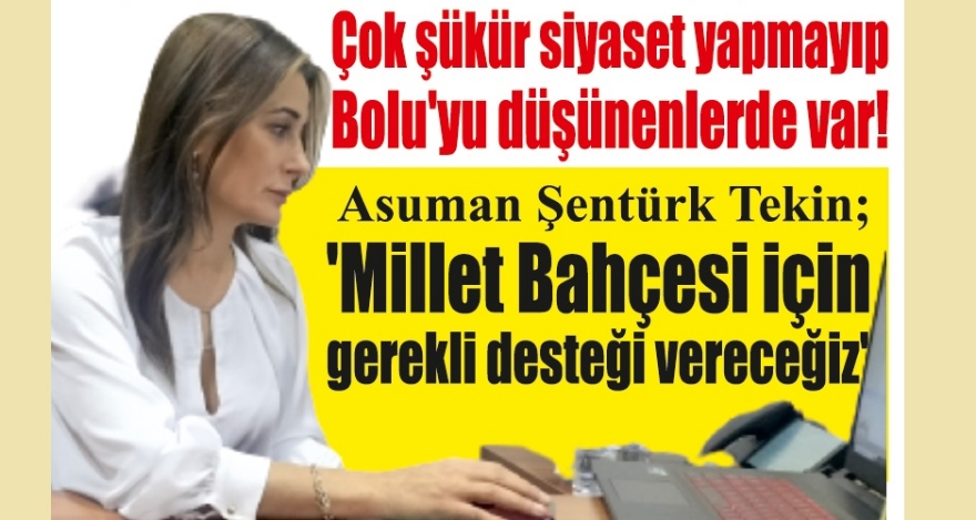 Tekin siyaseti Bolu'nun üzerine koymadı