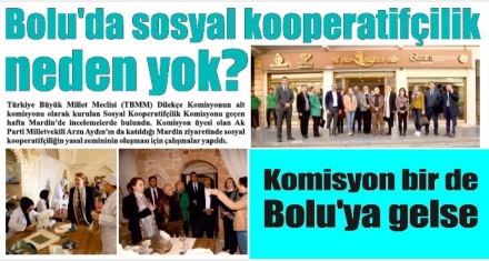 Komisyon bir de Bolu'ya gelse 