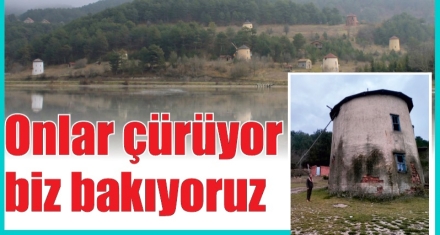 Onlar çürüyor biz bakıyoruz 
