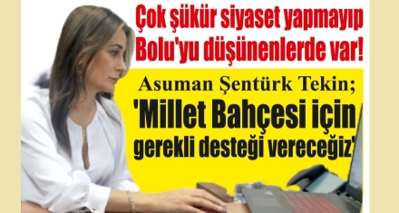 Tekin siyaseti Bolu'nun üzerine koymadı 