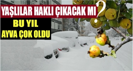 YAŞLILAR HAKLI ÇIKACAK MI?