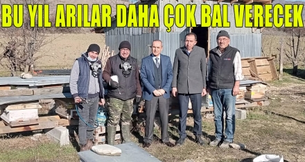 BU YIL ARILAR DAHA ÇOK BAL VERECEK