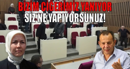 BİZİM CİĞERİMİZ YANIYOR SİZ NE YAPIYORSUNUZ!