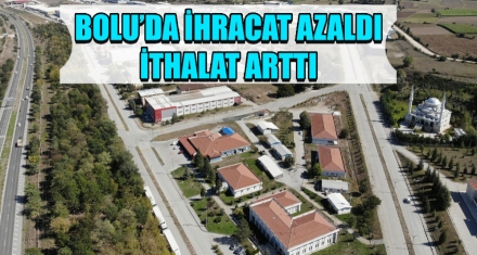 BOLU'DA İHRACAT AZALDI İTHALAT ARTTI