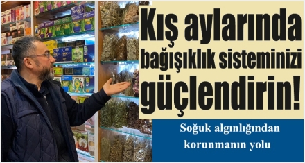 Soğuk algınlığına karşı hangi ürünler tercih edilmeli 