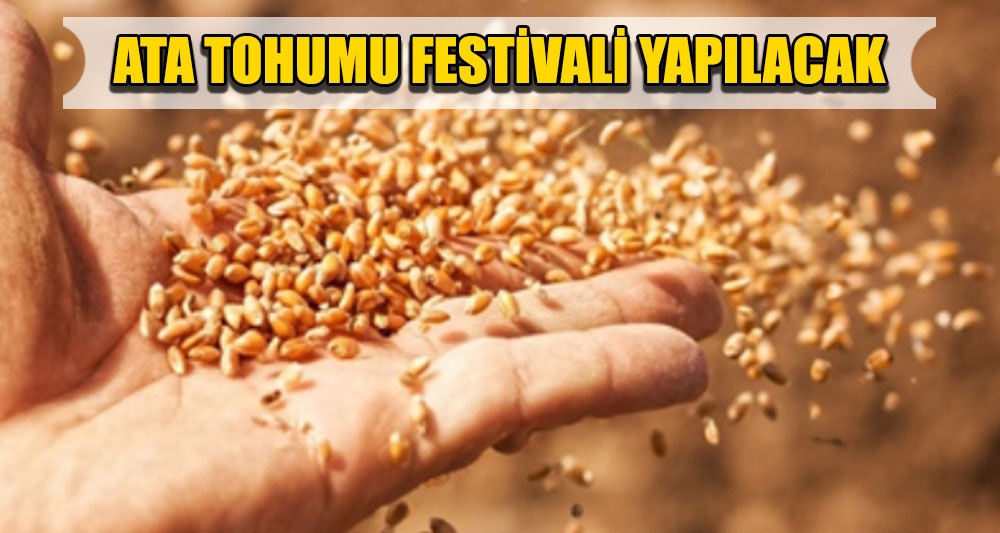 ATA TOHUMU FESTİVALİ YAPILACAK