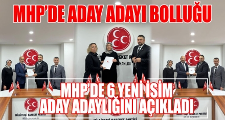 MHP'DE 6 YENİ İSİM ADAY ADAYLIĞINI AÇIKLADI