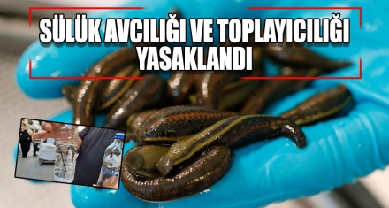 SÜLÜK AVCILIĞI VE TOPLAYICILIĞI YASAKLANDI