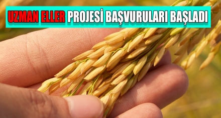 UZMAN ELLER PROJESİ BAŞVURULARI BAŞLADI