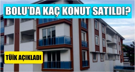 BOLU'DA KAÇ KONUT SATILDI