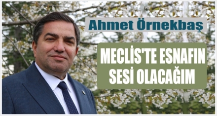 “MECLİSTE 7,5 MİLYON ESNAFIN SESİ OLACAĞIM”