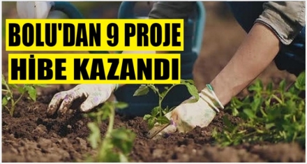 Bolu'dan 9 proje hibe kazandı