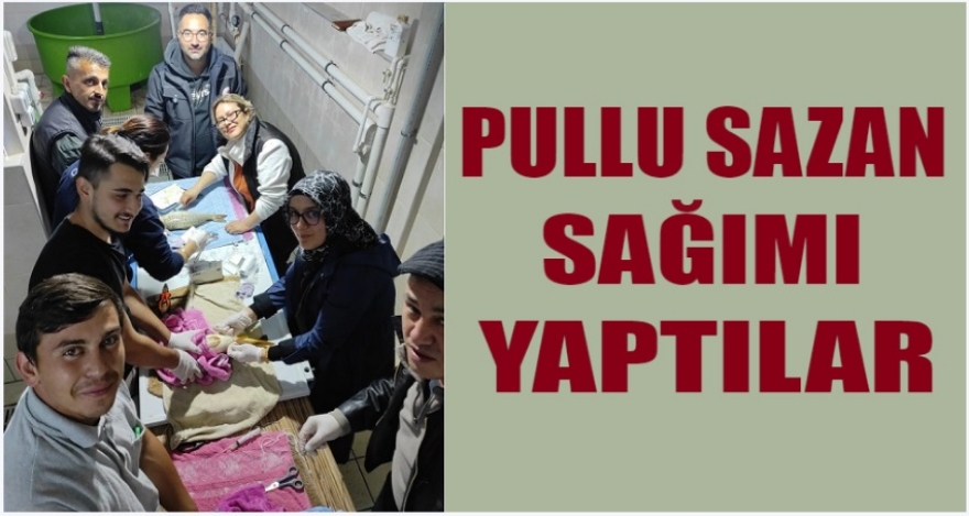 PULLU SAZAN SAĞIMI BAŞLADI