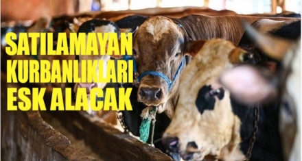 SATILAMAYAN KURBANLIKLARI ESK ALACAK
