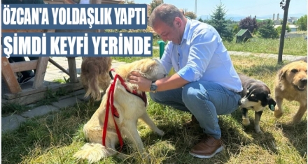 Bolu Belediye Başkanı sahip çıktı
