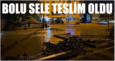 BOLU SELE TESLİM OLDU