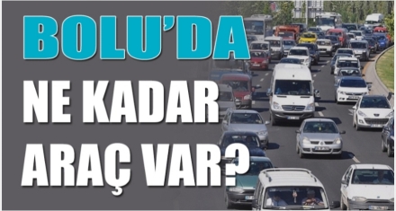 BOLU'DA KAÇ ARAÇ VAR?