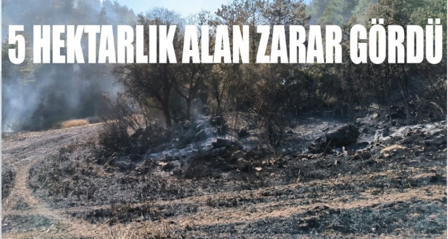 5 HEKTARLIK ALAN ZARAR GÖRDÜ