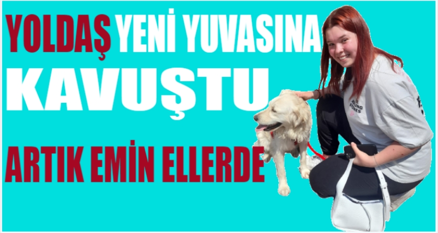 “Yoldaş” artık emin ellerde
