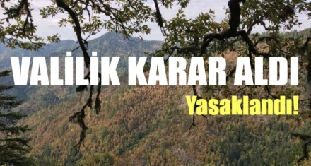 ORMANLARA GİRİŞ YASAKLANDI 