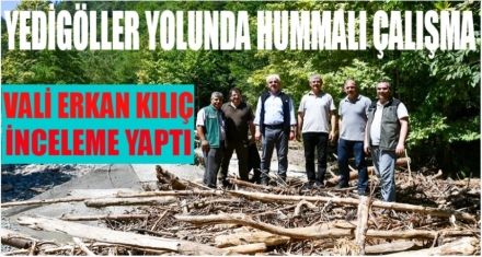 YEDİGÖLLER YOLUNDA HUMMALI ÇALIŞMA