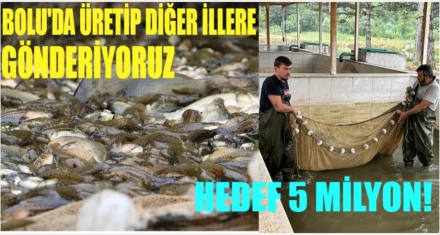 BOLU'DA ÜRETİLİP DİĞER İLLERE GÖNDERİLİYOR 