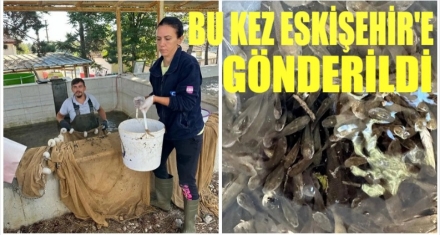 ÜÇÜNCÜ TESLİMAT ESKİŞEHİR'E YAPILDI 