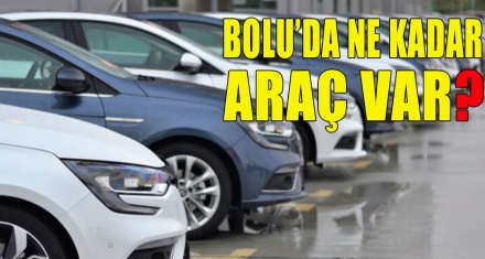BOLU'DA KAÇ ARAÇ VAR
