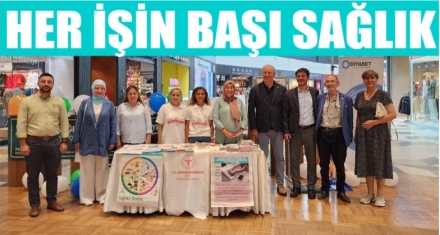 Her işin başı sağlık!
