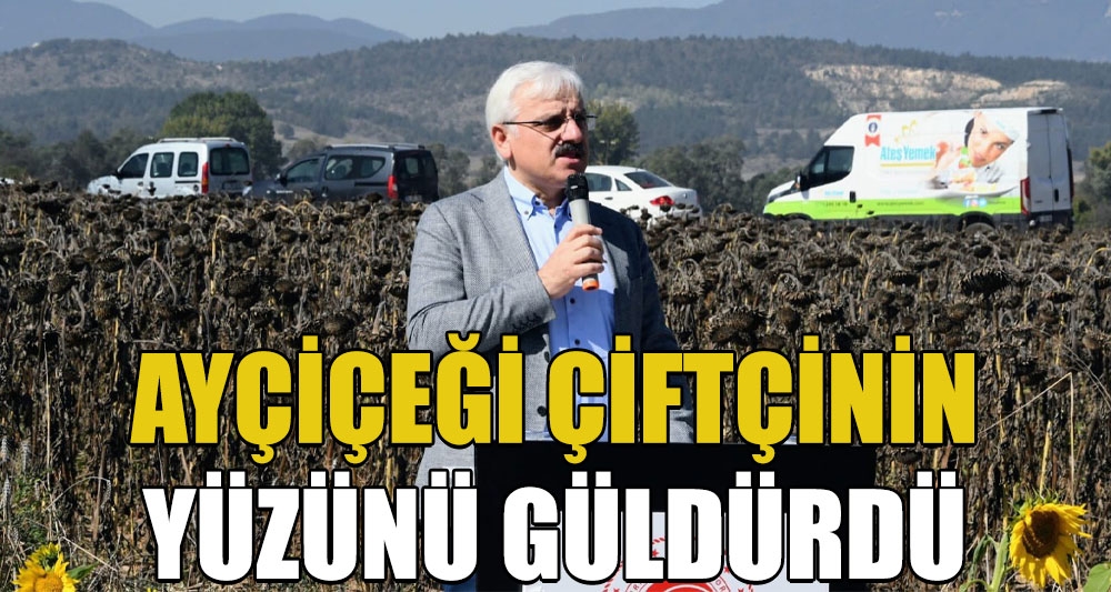 AYÇİÇEĞİ ÇİFTÇİNİN YÜZÜNÜ GÜLDÜRDÜ