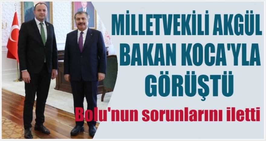 BOLU'NUN TALEPLERİNİ BAKAN KOCA'YA İLETTİ