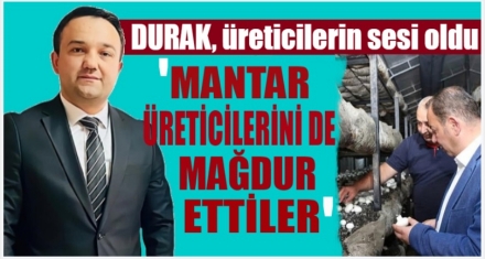 ‘MANTAR ÜRETİCİLERİNİ DE MAĞDUR ETTİLER'