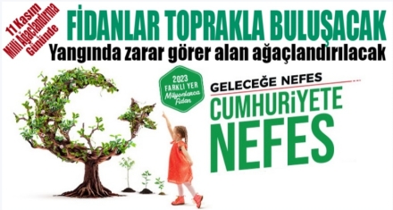 BU YIL FİDANALR MUDURNU'DA DİKİLECEK 