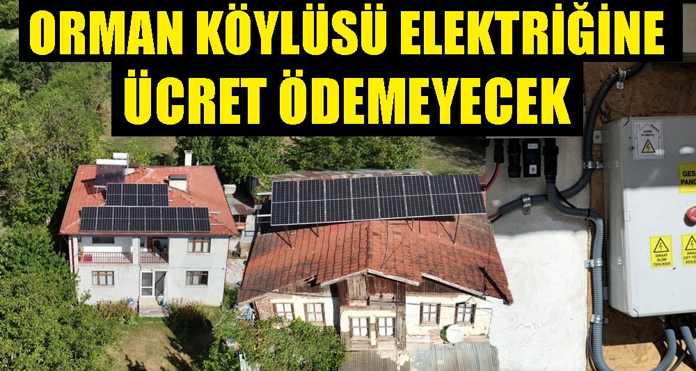 ORMAN KÖYLÜSÜ ELEKTRİĞİNE ÜCRET ÖDEMEYECEK