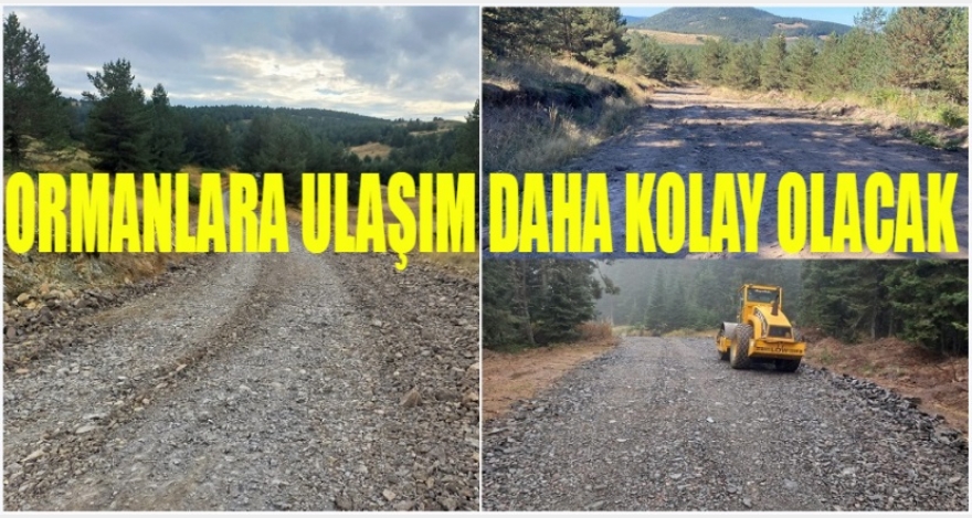 ORMANLARA ULAŞIM DAHA KOLAY OLACAK