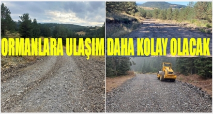 ORMANLARA ULAŞIM DAHA KOLAY OLACAK  
