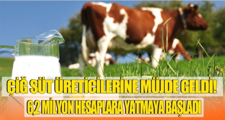 6,2 MİLYON HESAPLARA YATMAYA BAŞLADI