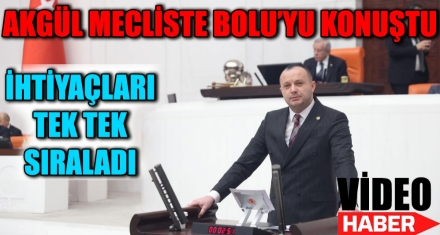 AKGÜL MECLİS'TE BOLU'YU KONUŞTU