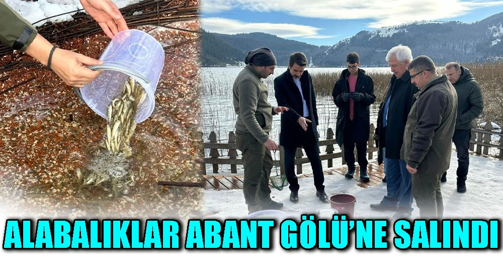 ALABALIKLAR ABANT GÖLÜ'NE SALINDI