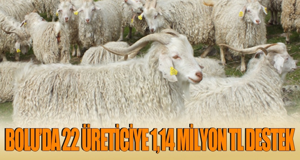 BOLU'DA 22 ÜRETİCİYE 1,14 MİLYON TL DESTEK