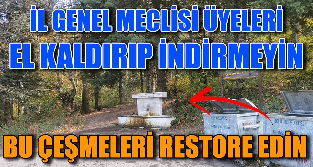 İL GENEL MECLİSİ ÜYELERİ; EL KALDIRIP İNDİRMEYİN BU ÇEŞMELERİ RESTORE EDİN!