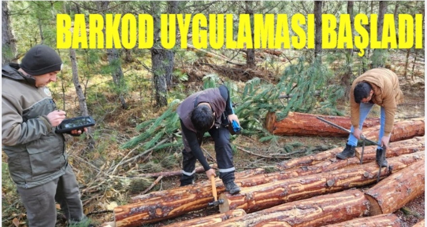 Mengen'de barkod uygulaması başladı