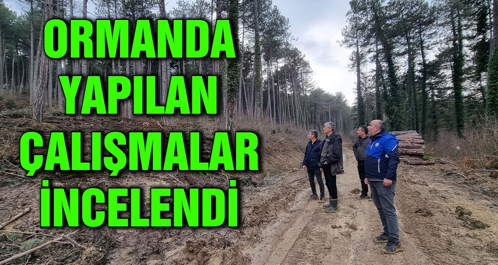 ORMANDA YAPILAN GENÇLEŞTİRME ÇALIŞMALARI İNCELENDİ